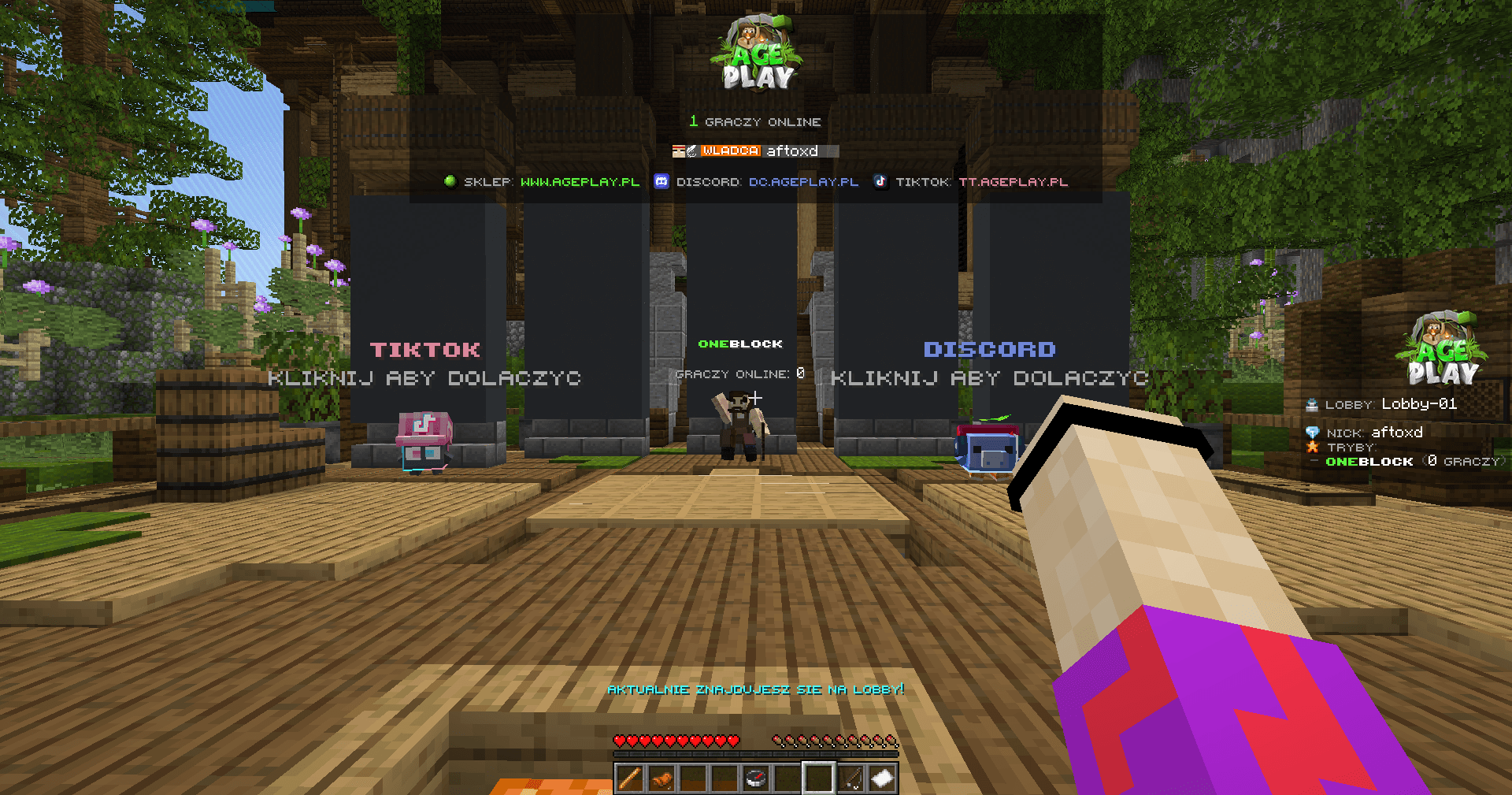 Paczka minecraft na tryb OneBlock